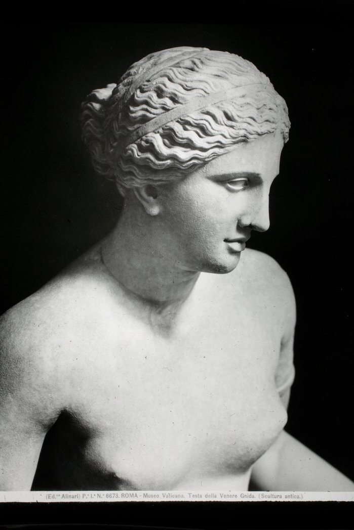 Busto di Venere/ Musei Vaticani/ Roma (diapositiva) di Alinari, Fratelli, Alinari I.D.E.A (XX)