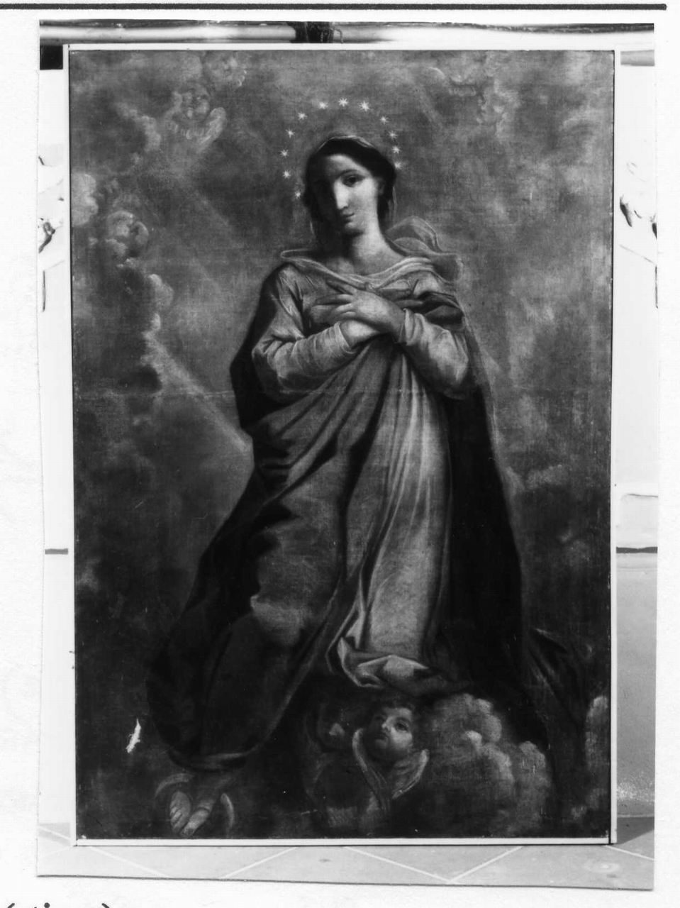 Madonna Immacolata (dipinto) di Stringa Francesco (attribuito) (seconda metà sec. XVII)