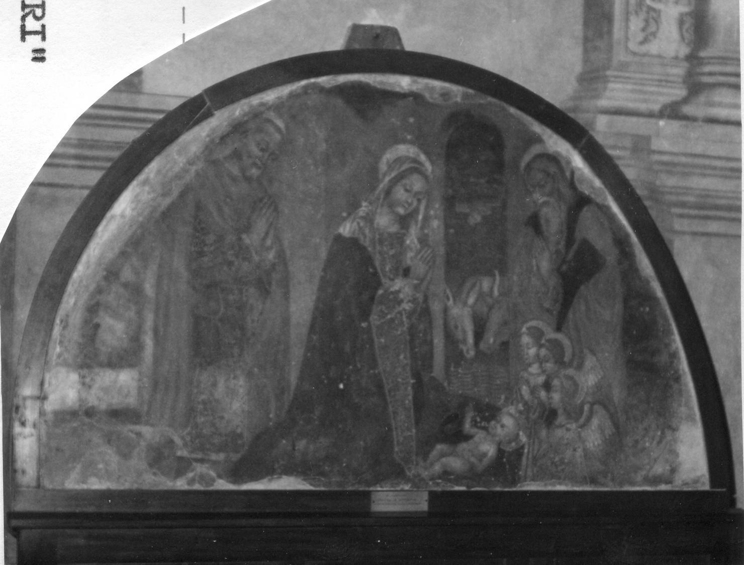 natività di Gesù (dipinto) di Loschi Bernardino (inizio sec. XVI)