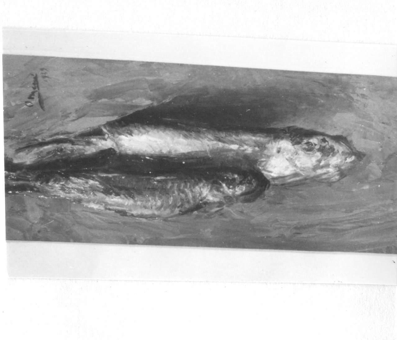 aringhe (dipinto) di Messori Orfeo (sec. XX)