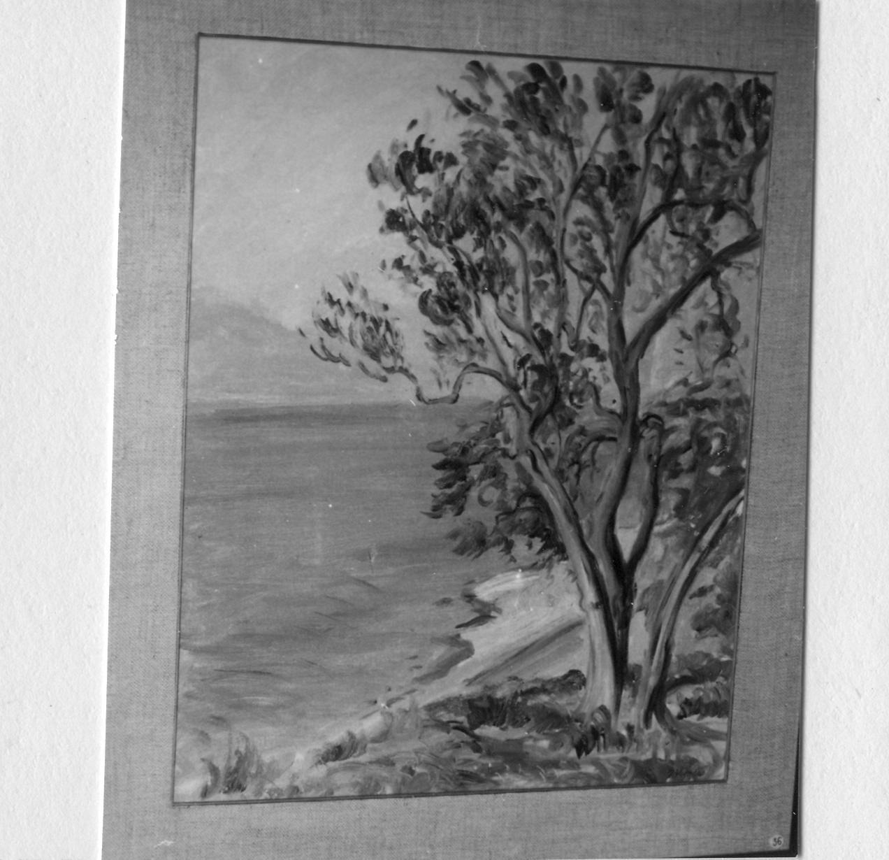 veduta del lago di Garda (dipinto) di Voltolini Ivo (sec. XX)