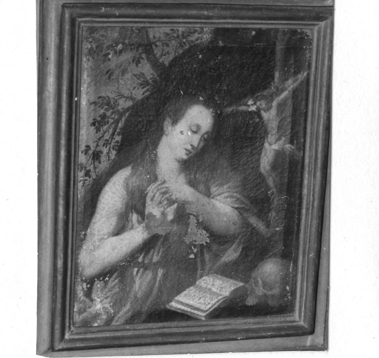 Santa Maria Maddalena penitente (dipinto) - ambito bolognese (seconda metà sec. XVI)