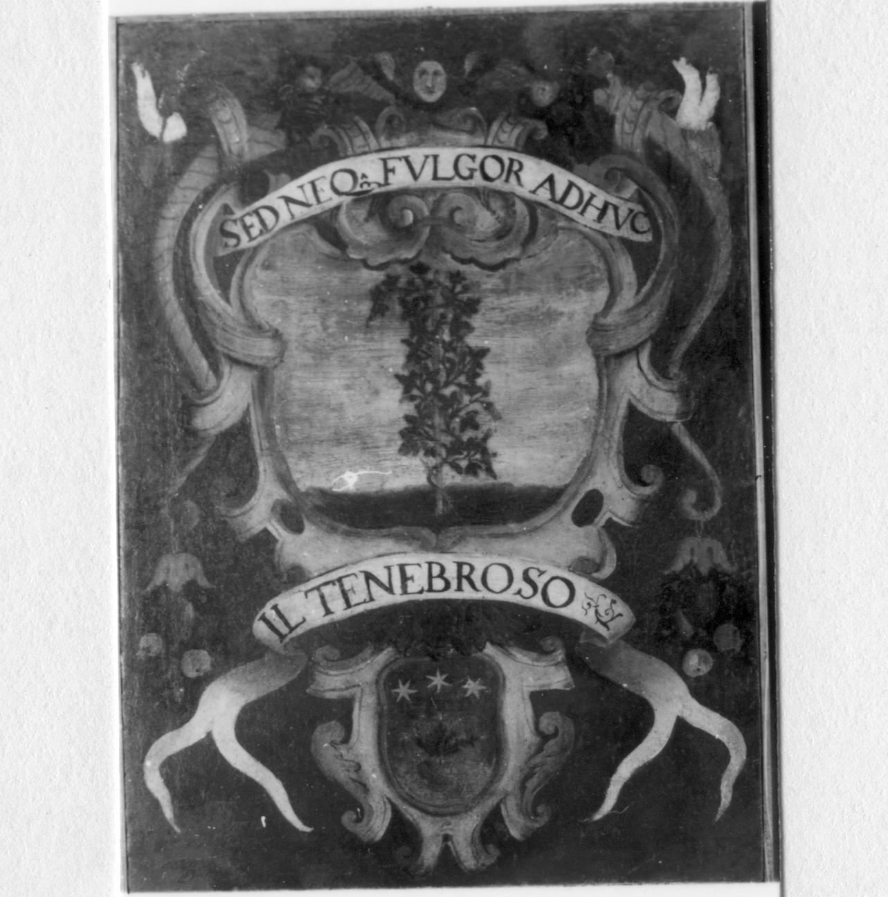 impresa e stemma di accademico degli Apparenti (dipinto) - ambito carpigiano (metà sec. XVII)