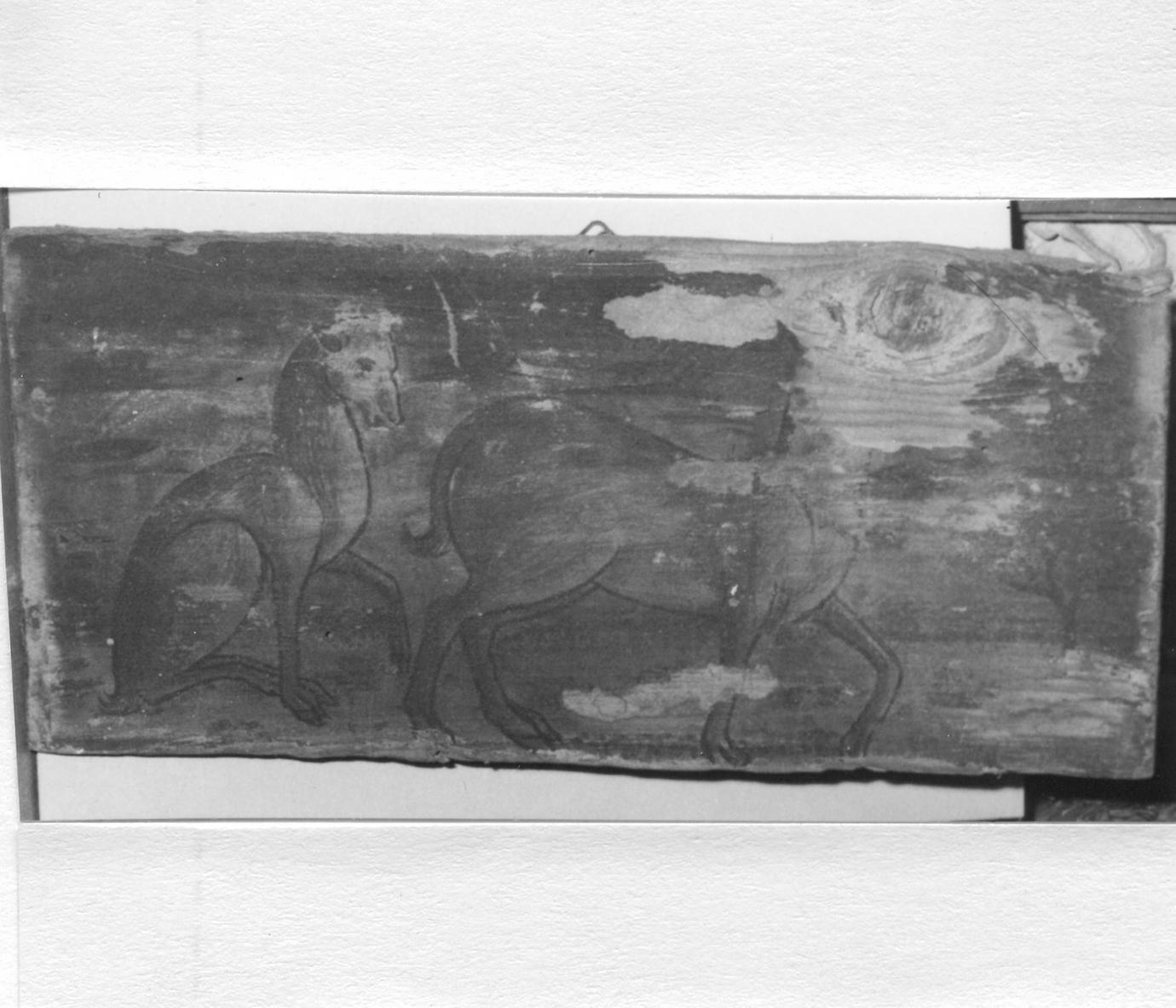 cavalli (soffitto dipinto, elemento d'insieme) - ambito carpigiano (fine sec. XV)