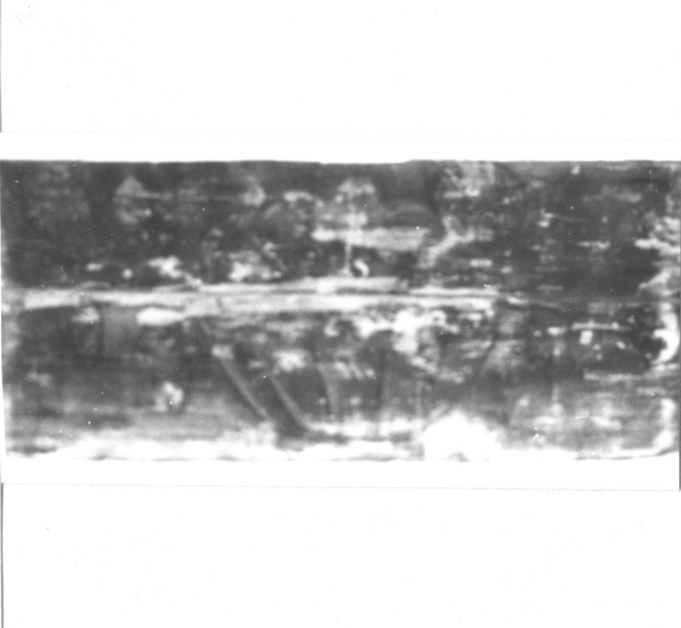 natura morta con frutta (soffitto dipinto, elemento d'insieme) - ambito carpigiano (fine sec. XV)