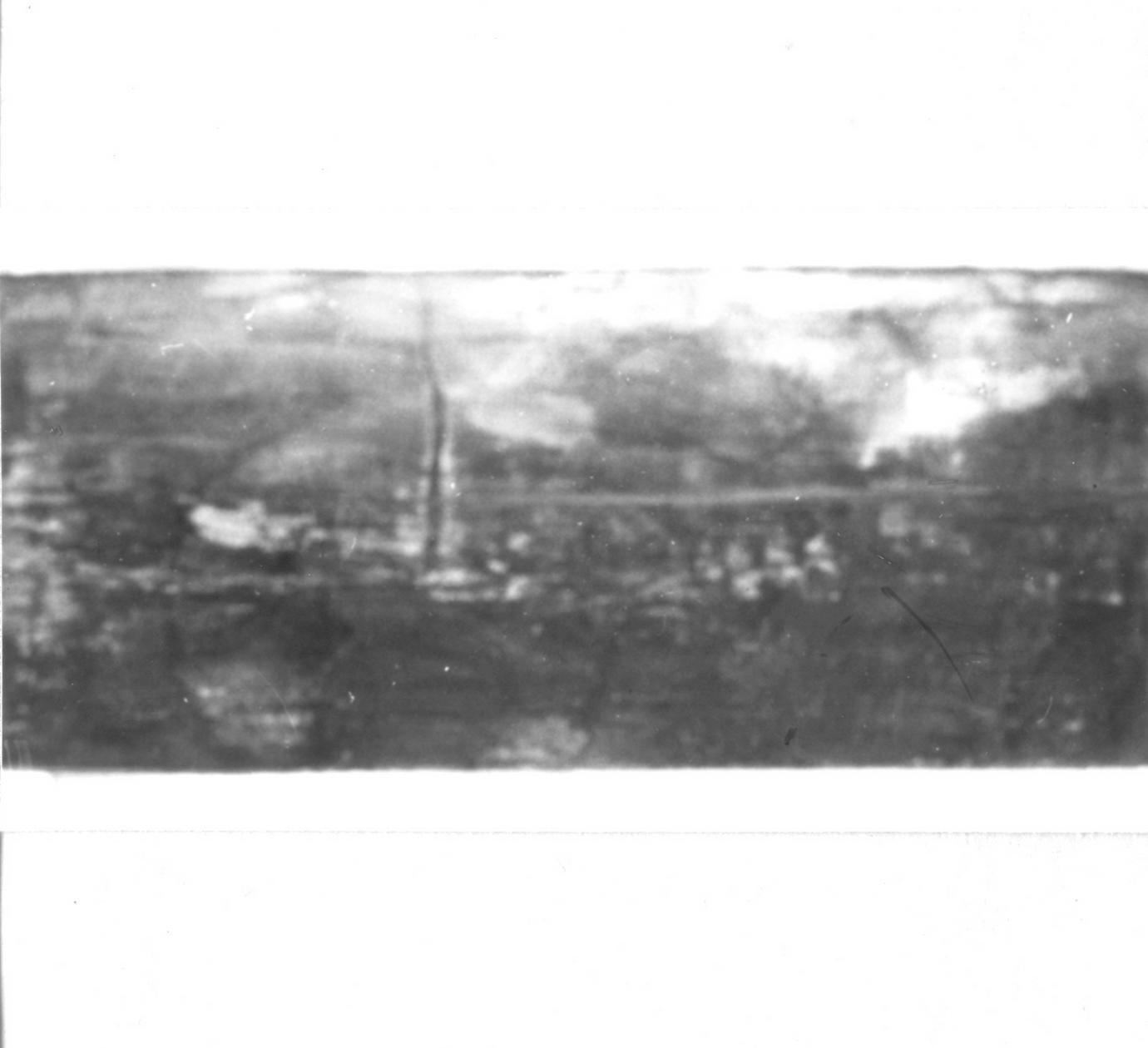 galletto che becca (soffitto dipinto, elemento d'insieme) - ambito carpigiano (fine sec. XV)