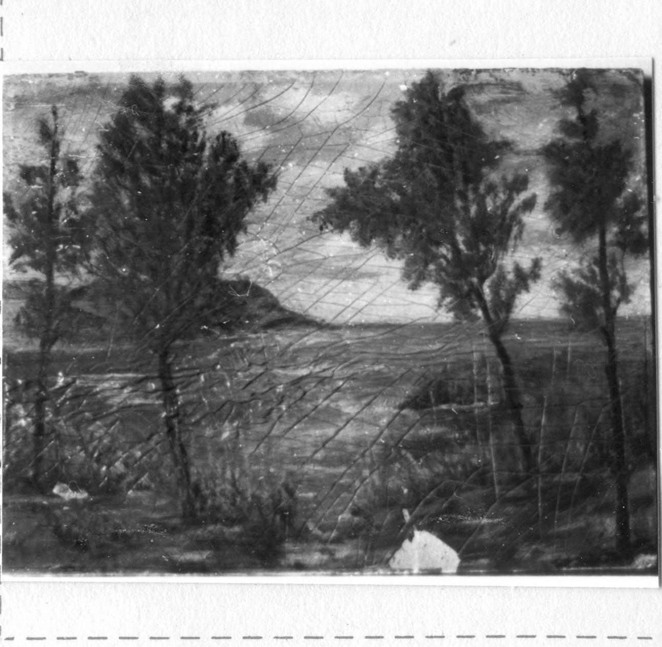 paesaggio con marina e alberi (dipinto) di Dallari Aldo (sec. XX)