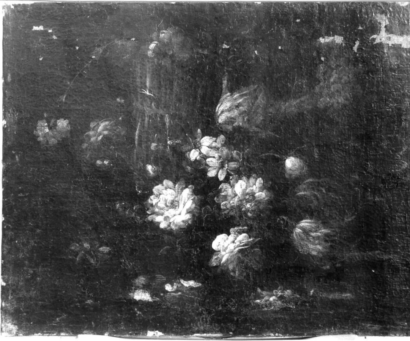 fiori (dipinto) - ambito emiliano (sec. XVIII)