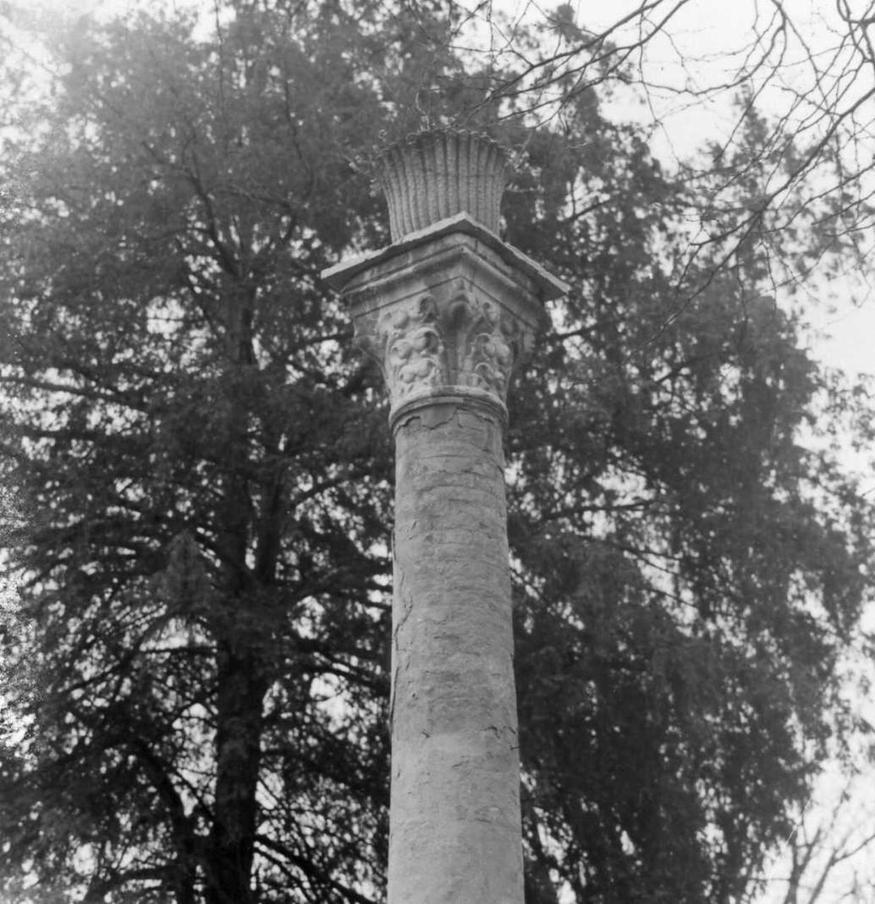 colonna - bottega carpigiana (ultimo quarto sec. XIX)