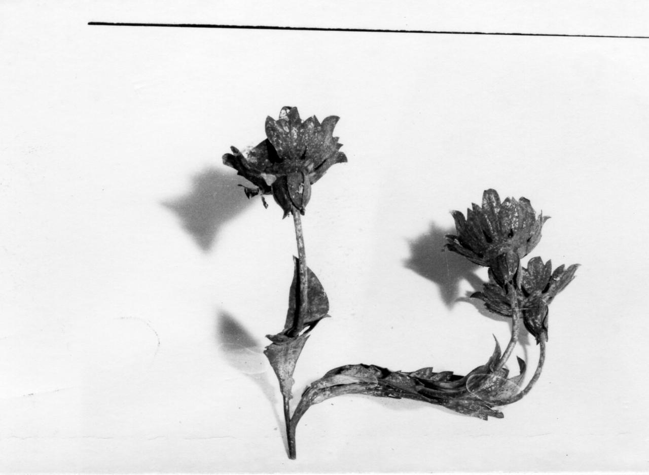 applique, serie - bottega emiliana (fine/inizio secc. XVIII/ XIX)