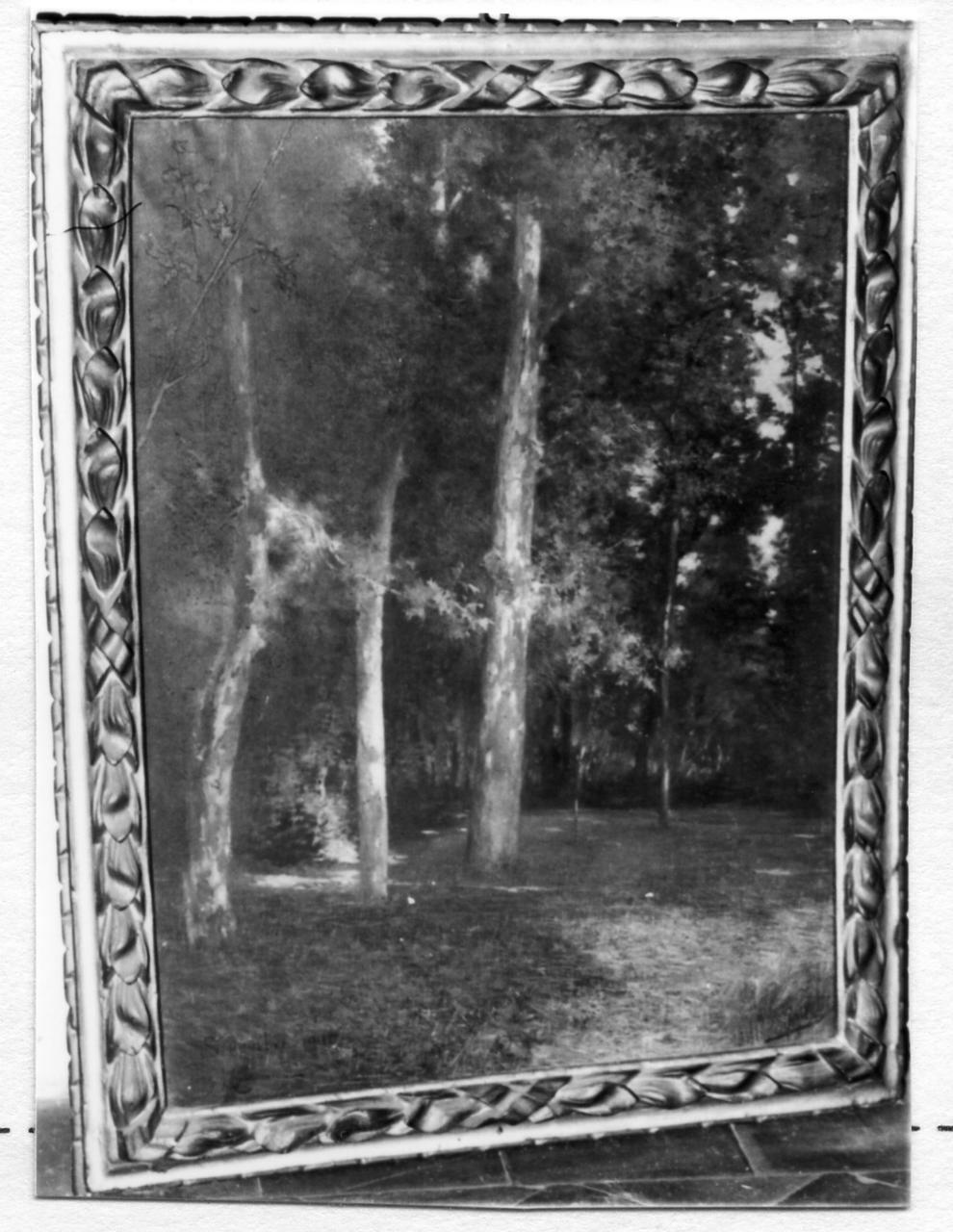paesaggio con alberi (dipinto) di Montessori Enrico (sec. XX)