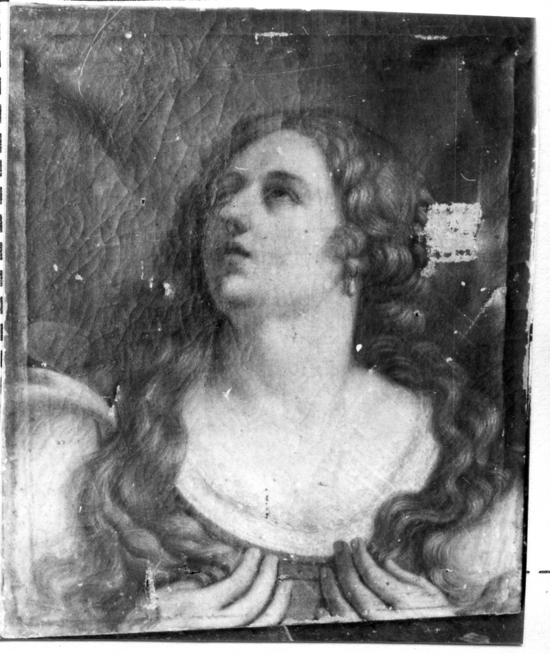 testa di Sibilla (dipinto) - ambito emiliano (seconda metà sec. XVII)