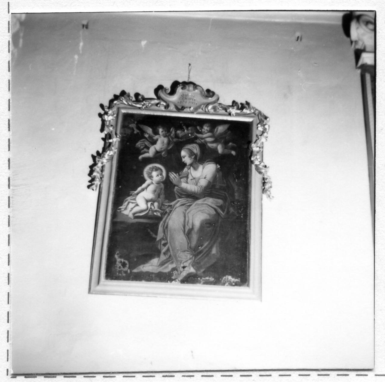 Madonna della Ghiara (dipinto) di Viacavi Francesco (attribuito) (seconda metà sec. XVIII)