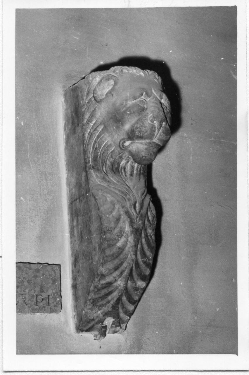 testa di leone (decorazione plastica) - bottega italiana (sec. XVI)