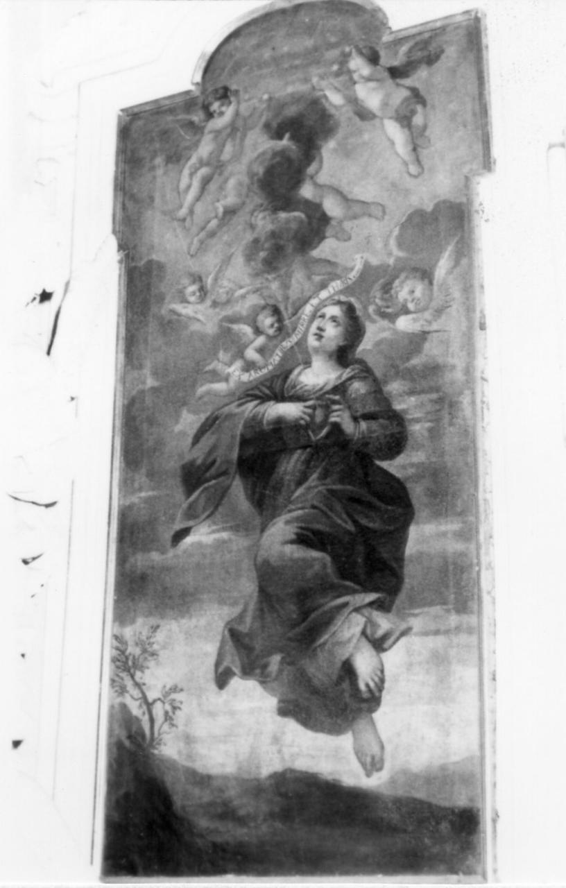 assunzione della Madonna (dipinto) - ambito emiliano-veneto (inizio sec. XVIII)