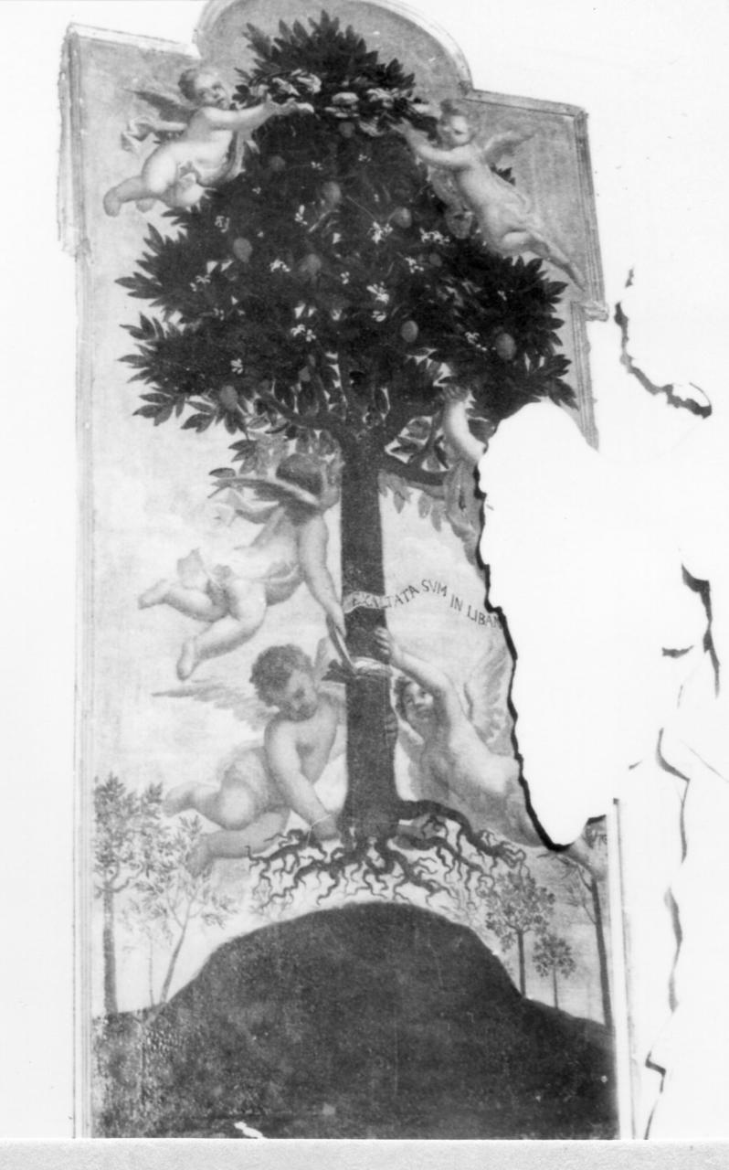 simboli mariani (dipinto) - ambito emiliano-veneto (inizio sec. XVIII)