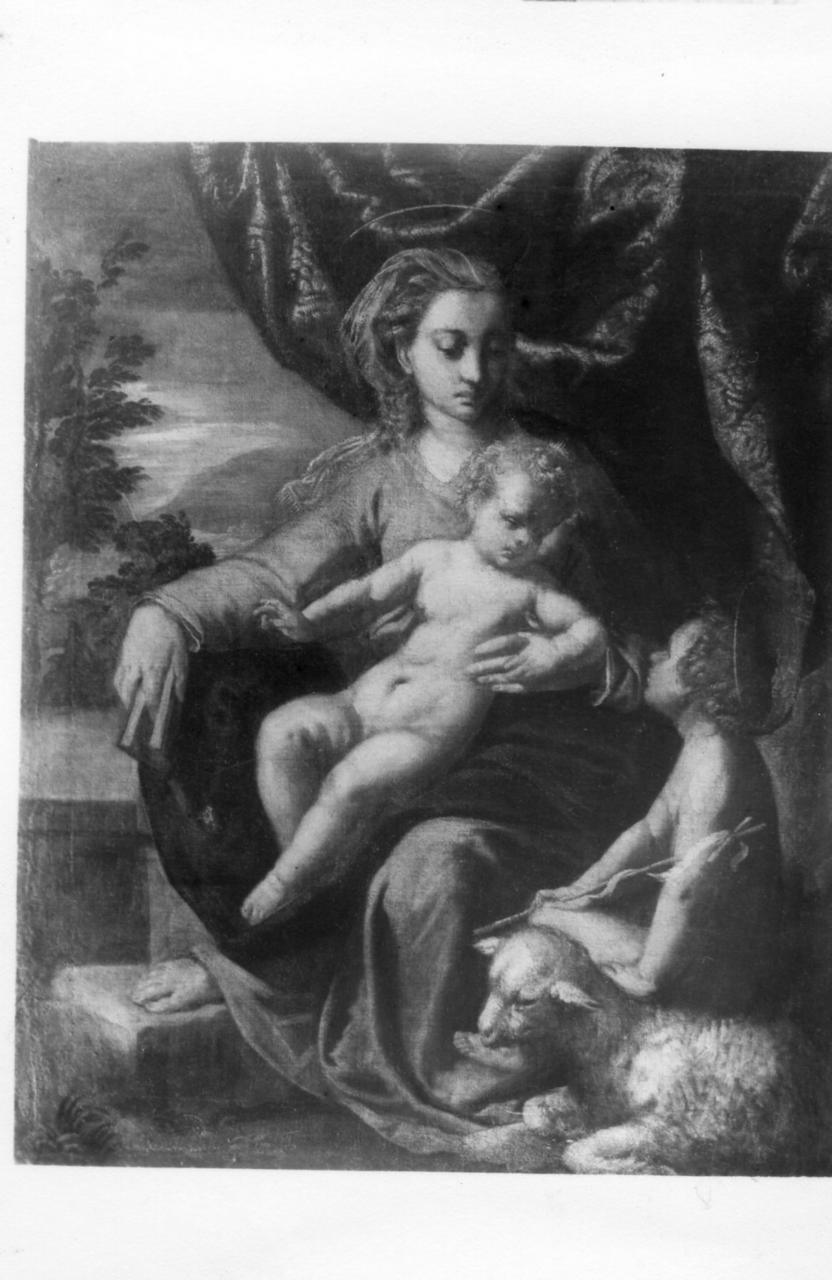 Madonna con Bambino e San Giovannino (dipinto) di Scarsella Ippolito detto Scarsellino (fine sec. XVI)