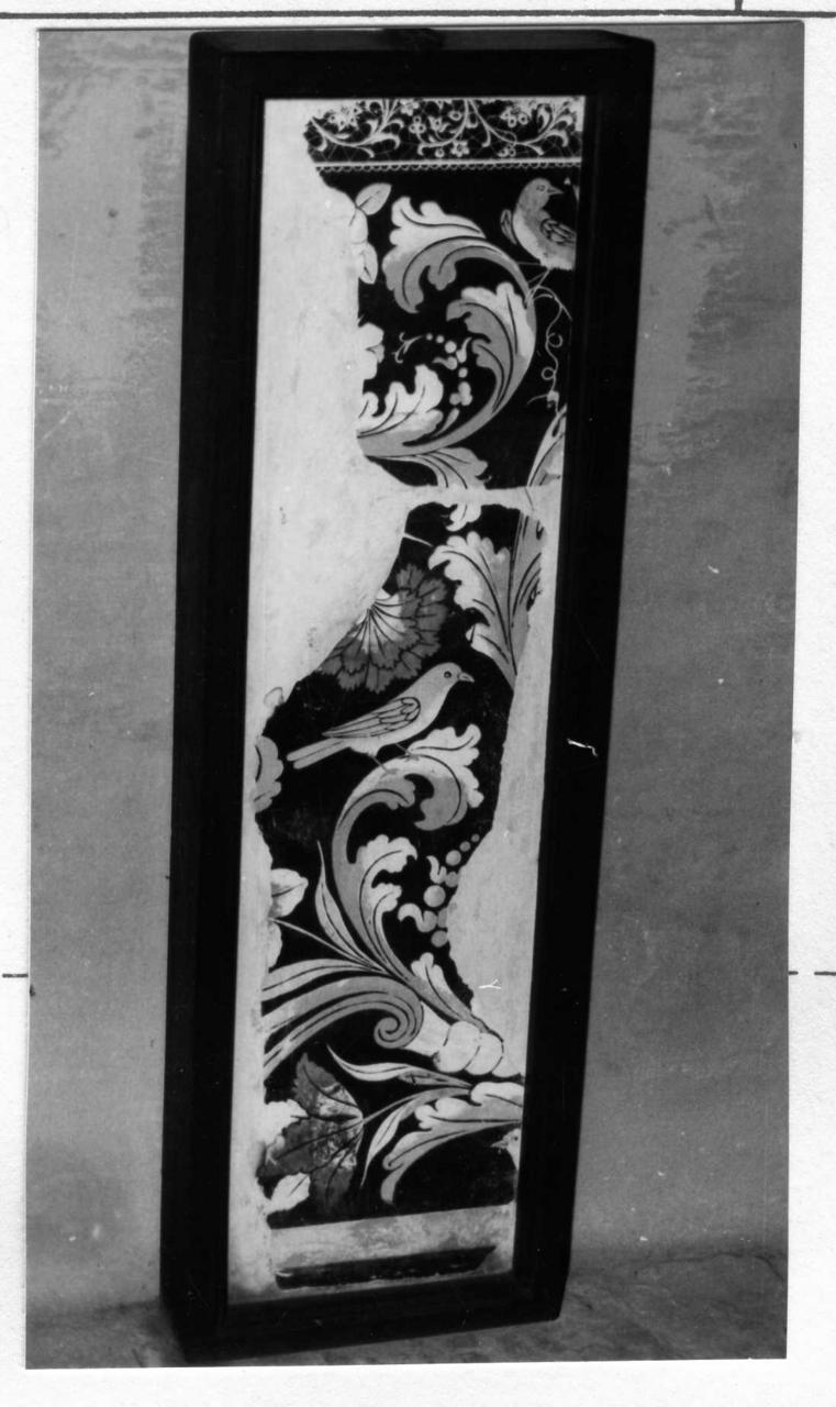 motivi decorativi a girali vegetali (paliotto) - bottega emiliana (prima metà sec. XVIII)