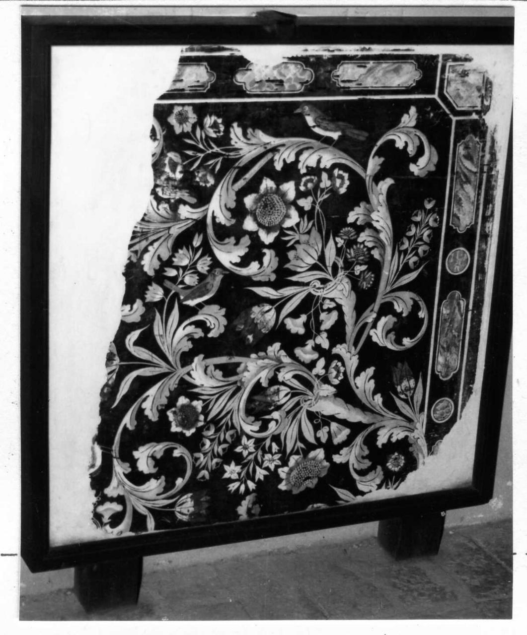 motivi decorativi a girali vegetali (paliotto) - bottega emiliana (prima metà sec. XVIII)