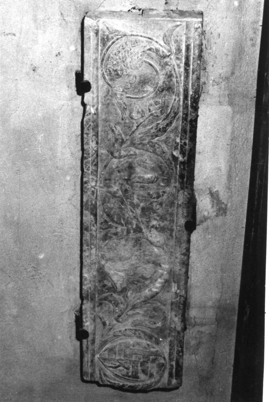 tralcio e stemma dei Pio (scultura) - bottega carpigiana (inizio sec. XVI)