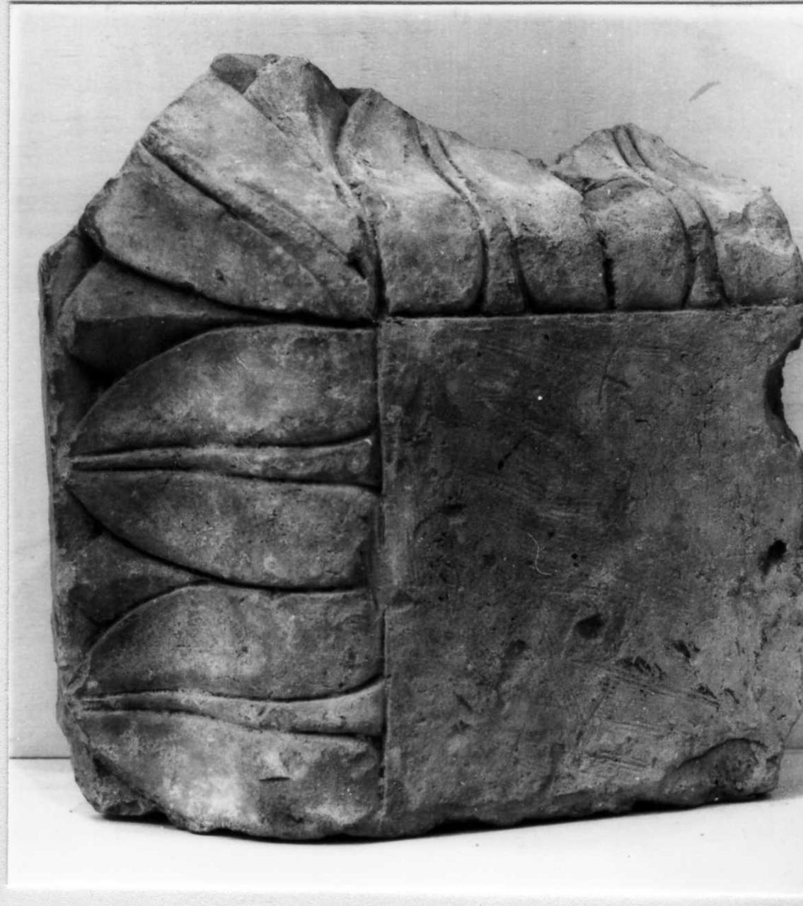 formella - bottega carpigiana (inizio sec. XVI)