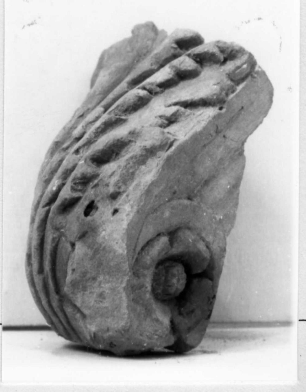 mensola architettonica - a voluta - bottega carpigiana (inizio sec. XVI)