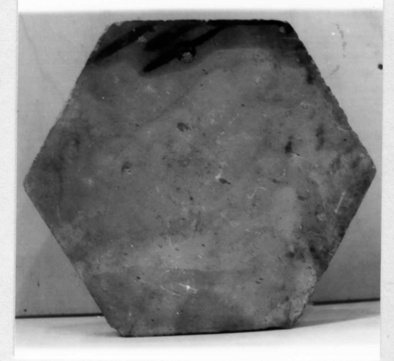 piastrella di pavimento - bottega carpigiana (seconda metà sec. XIX)