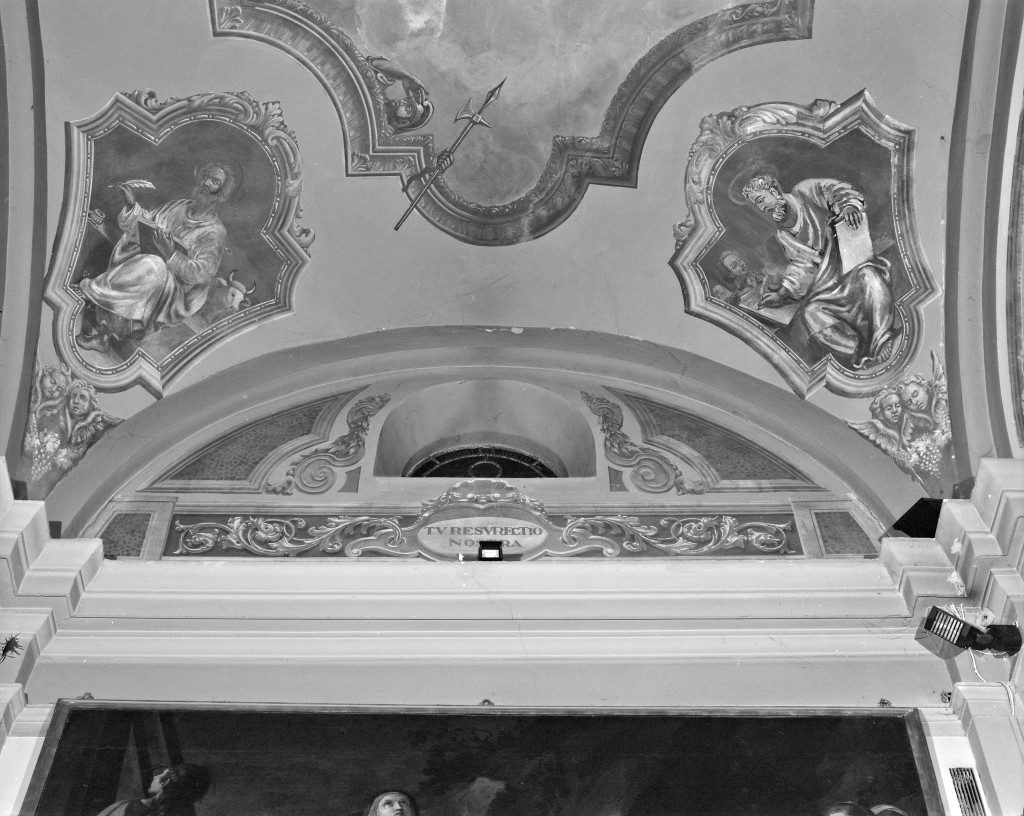 motivo decorativo a volute vegetali, conchiglia e cartella con iscrizione (decorazione pittorica) - ambito modenese (seconda metà sec. XIX)