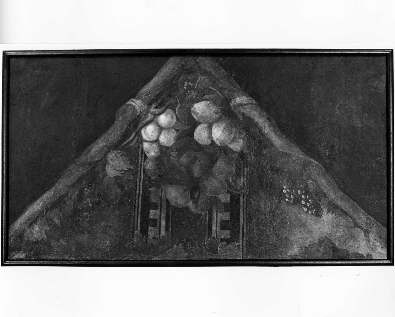 festone con frutti (dipinto, elemento d'insieme) di Orsi Lelio (sec. XVI)