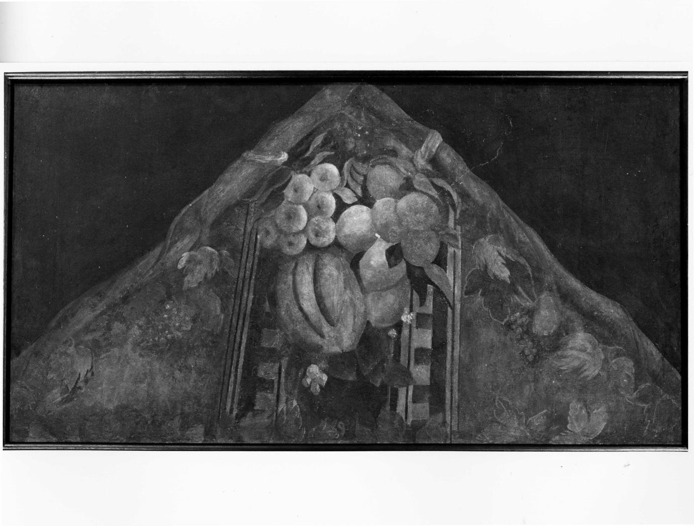 festone con frutti (dipinto, frammento) di Orsi Lelio (sec. XVI)