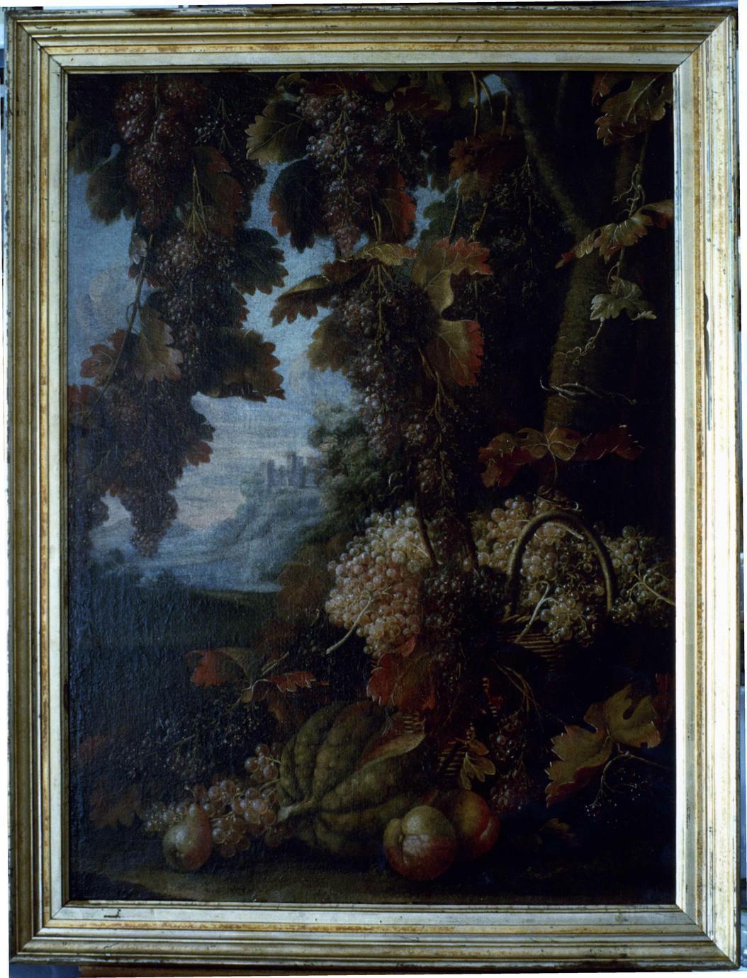 natura morta (dipinto) di Malagoli Francesco (sec. XVIII)