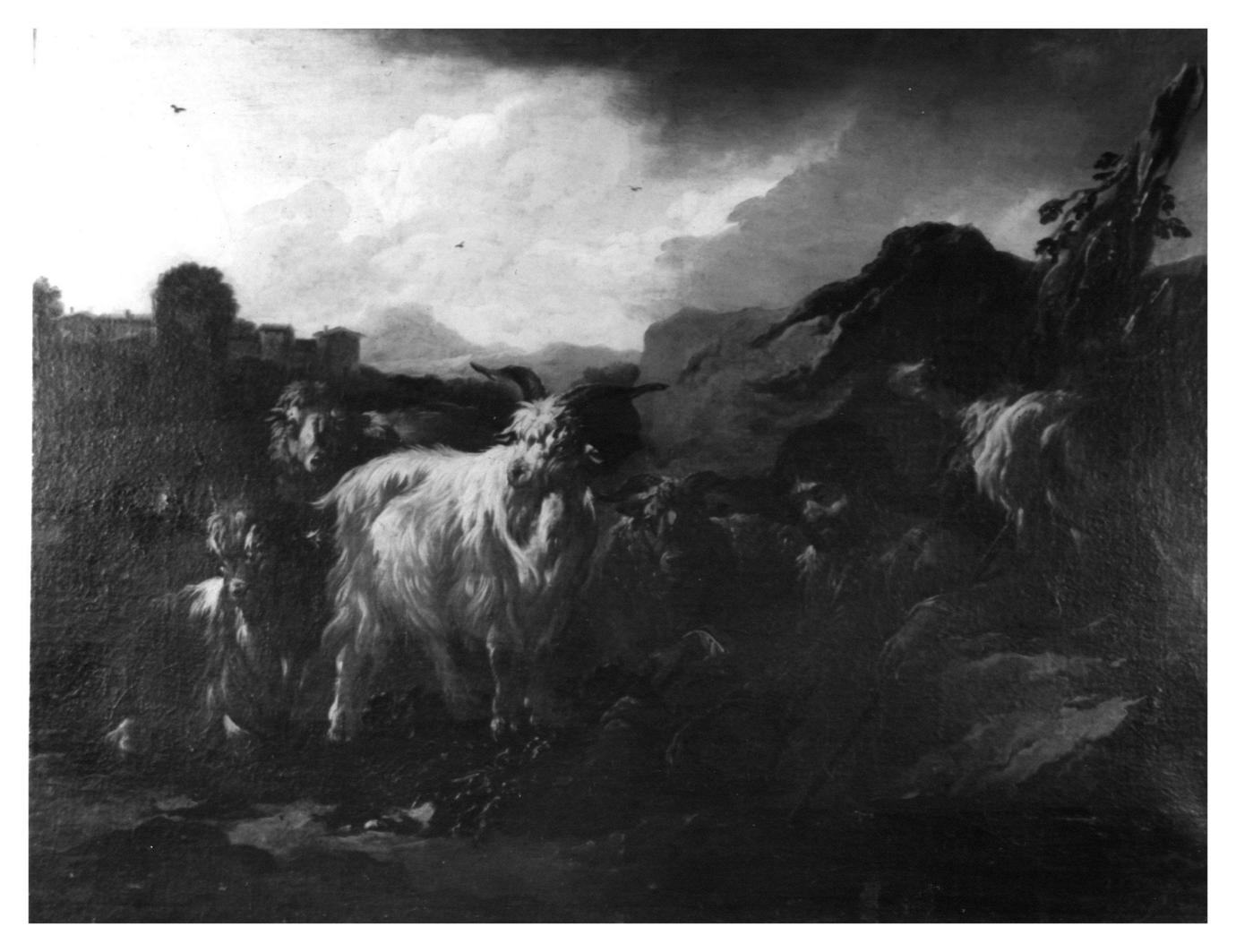 scena pastorale (dipinto) di Brandi Domenico detto Micco (sec. XVIII)