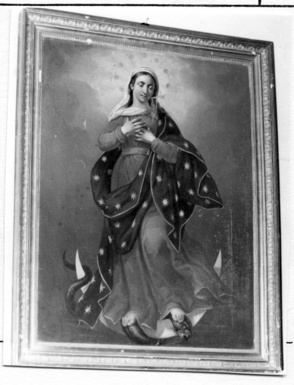 Immacolata Concezione (dipinto) di Manzini Luigi (attribuito) (metà sec. XIX)