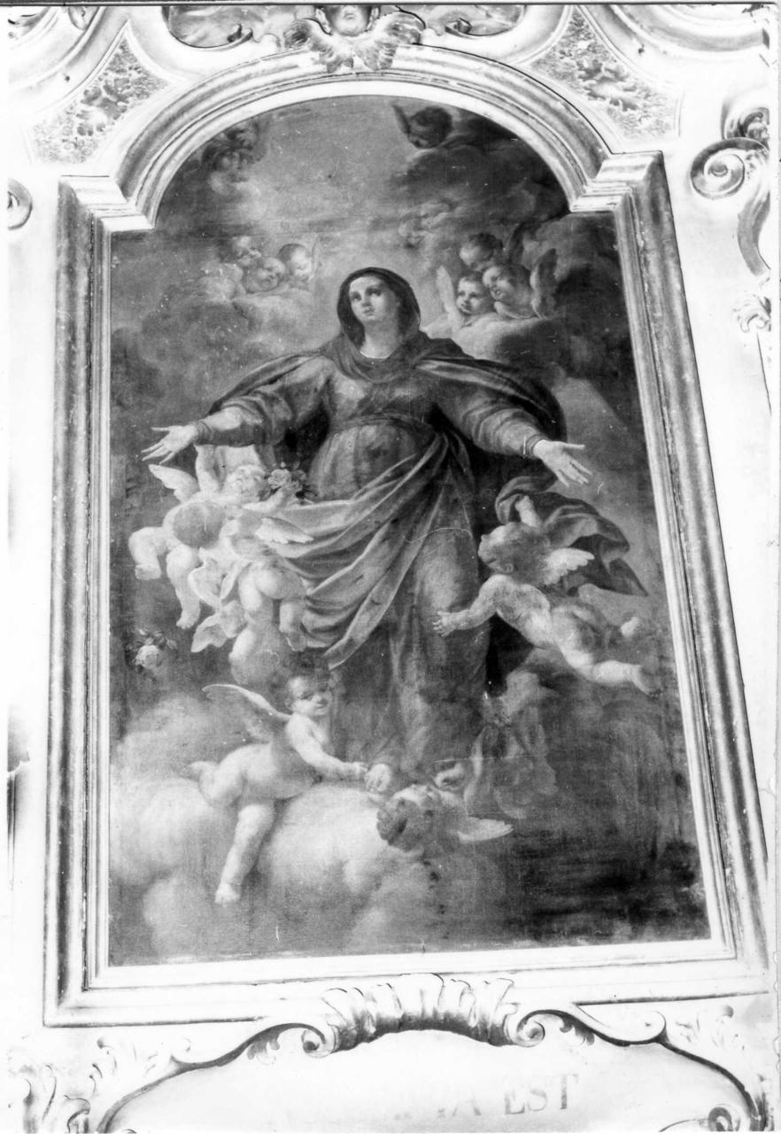 assunzione della Madonna (dipinto) di Varotti Pier Paolo (prima metà sec. XVIII)