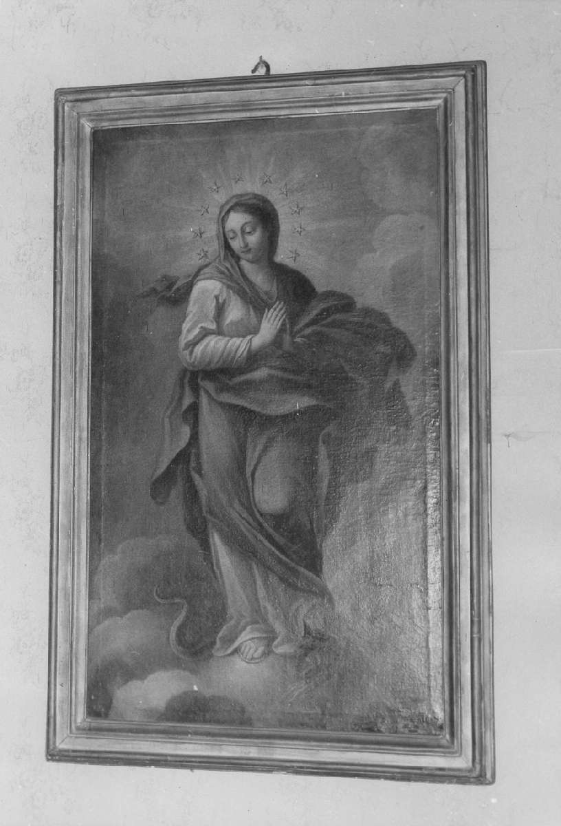 Immacolata Concezione (dipinto) - ambito bolognese (seconda metà sec. XVIII)