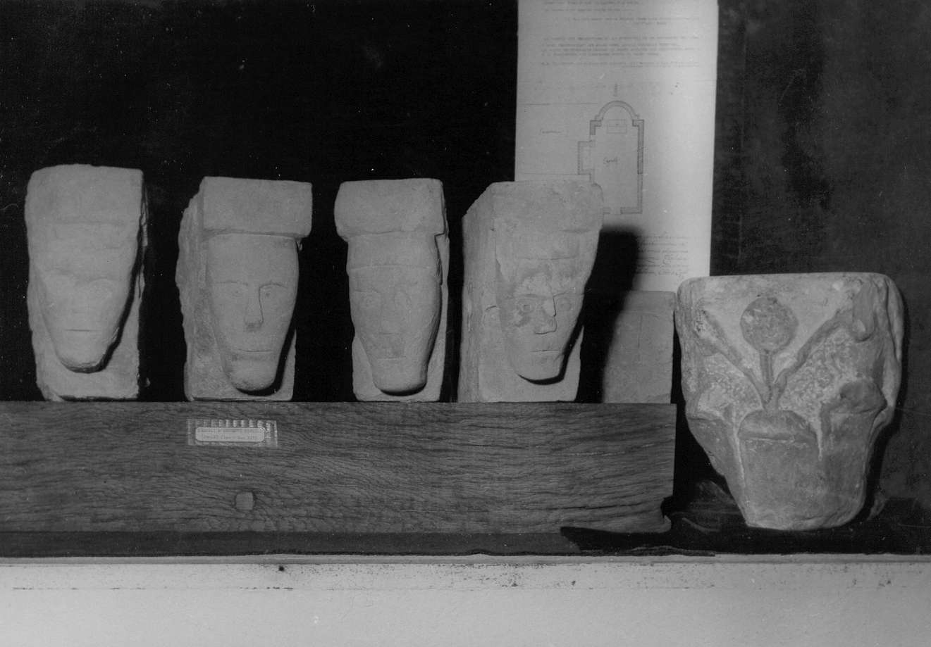 motivo decorativo a protome umana (peduccio - figurato, insieme) - bottega emiliano-lombarda (sec. XII)