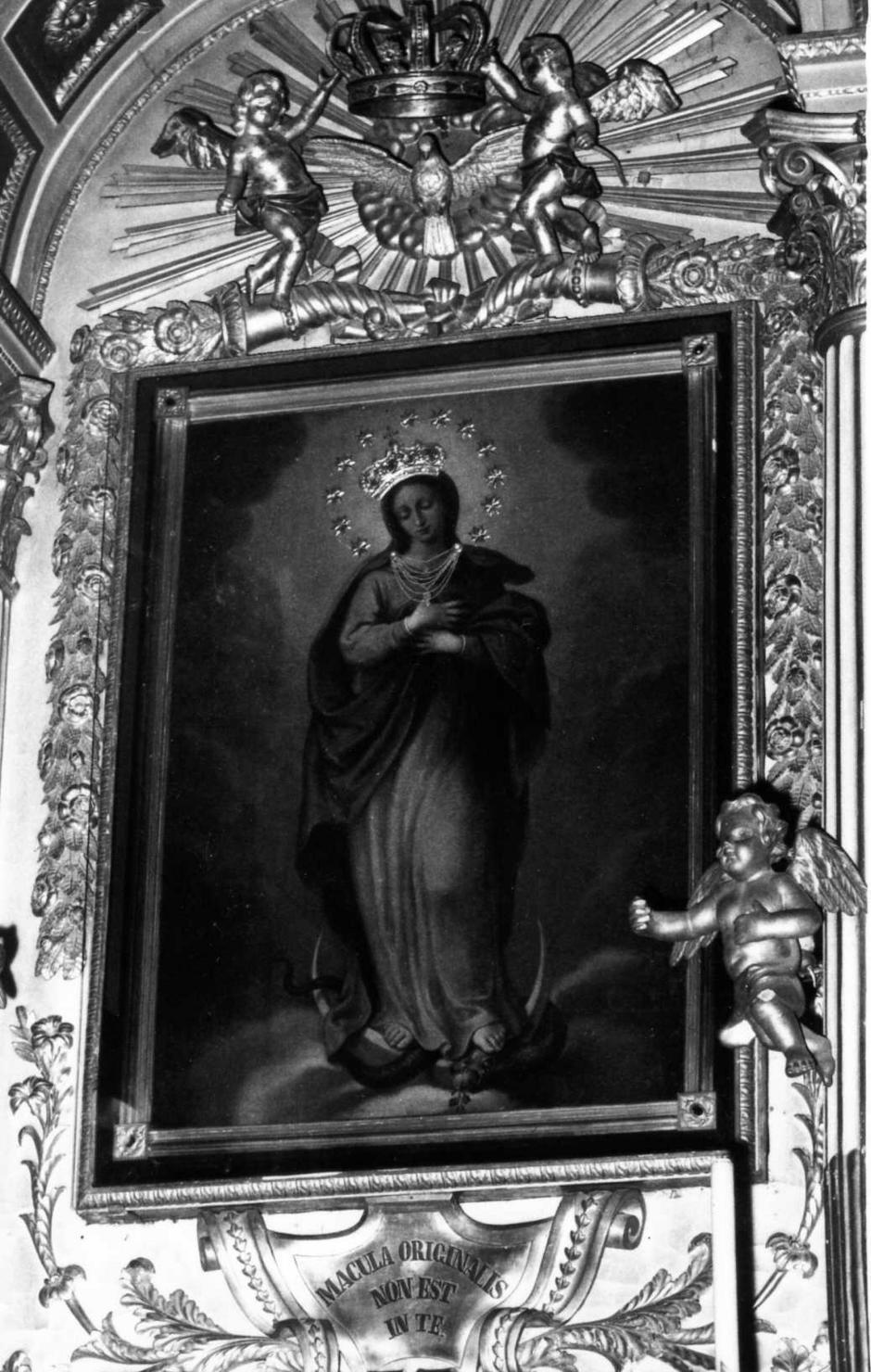 Madonna Immacolata (dipinto) di Socci Antonio (metà sec. XVIII)