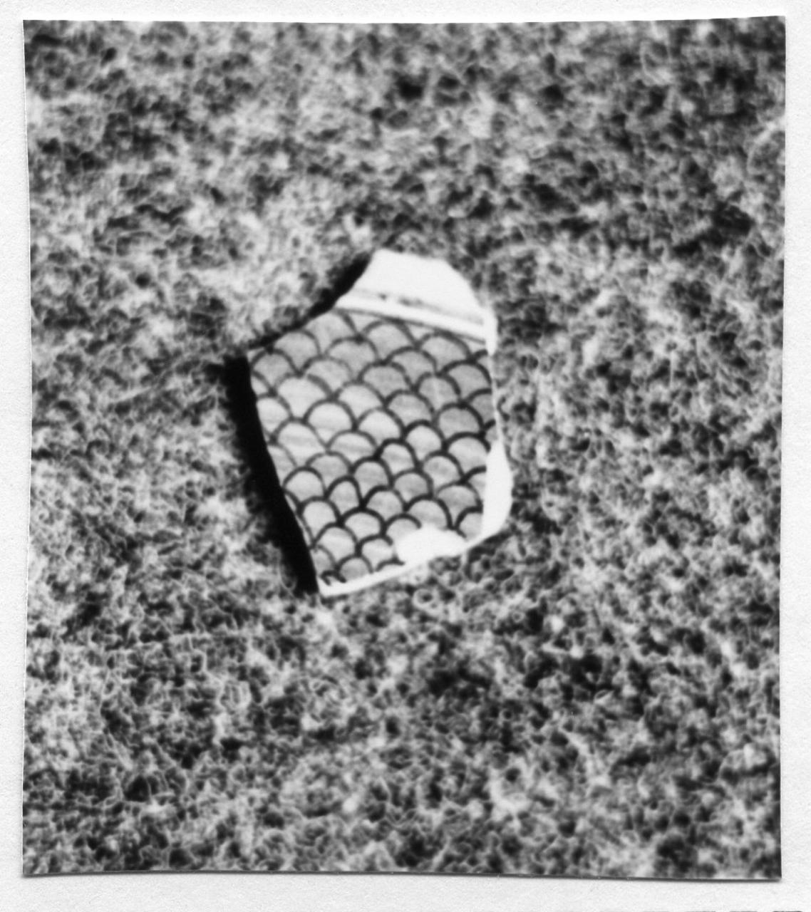 motivi decorativi (piatto, frammento) - bottega faentina (inizio sec. XVI)