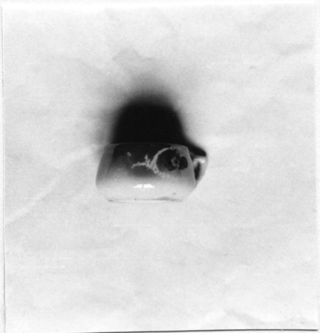 motivi decorativi (tazzina) - bottega fiorentina (sec. XX)