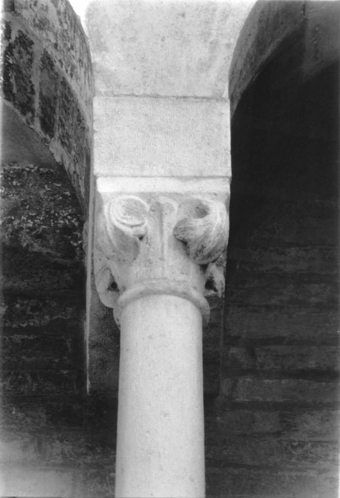 motivi decorativi fogliati (capitello) di Wiligelmo (cerchia) (sec. XII)