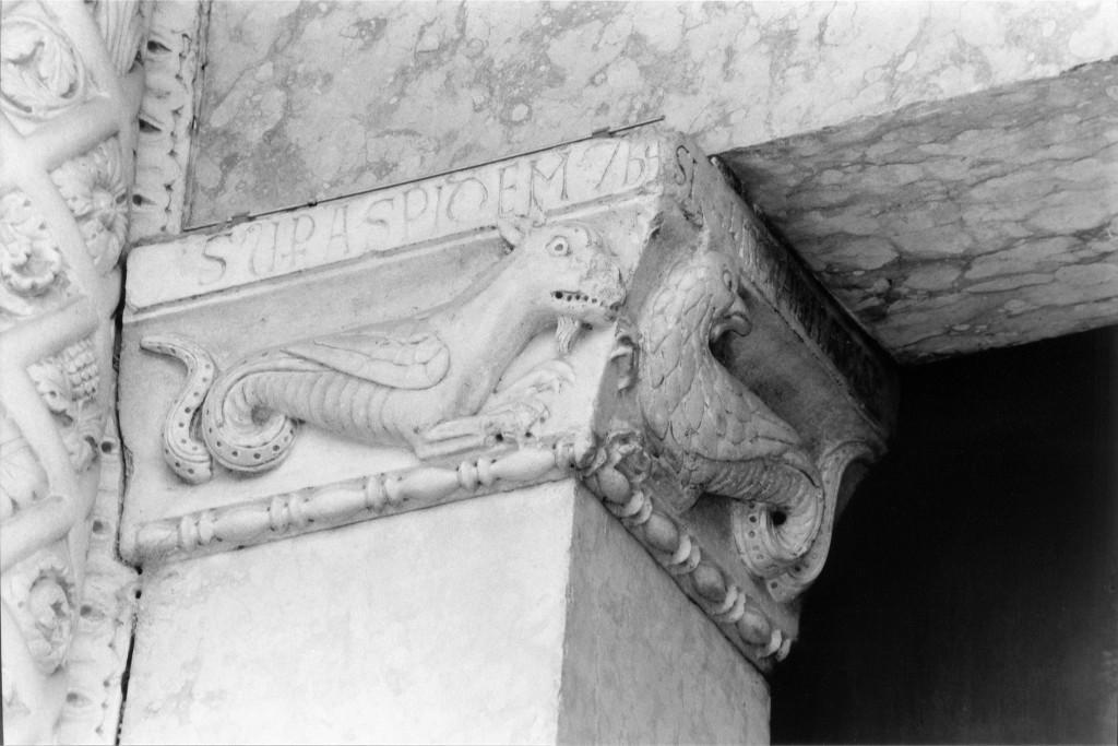 aspide e basilisco (capitello) - bottega campionese (sec. XIII)
