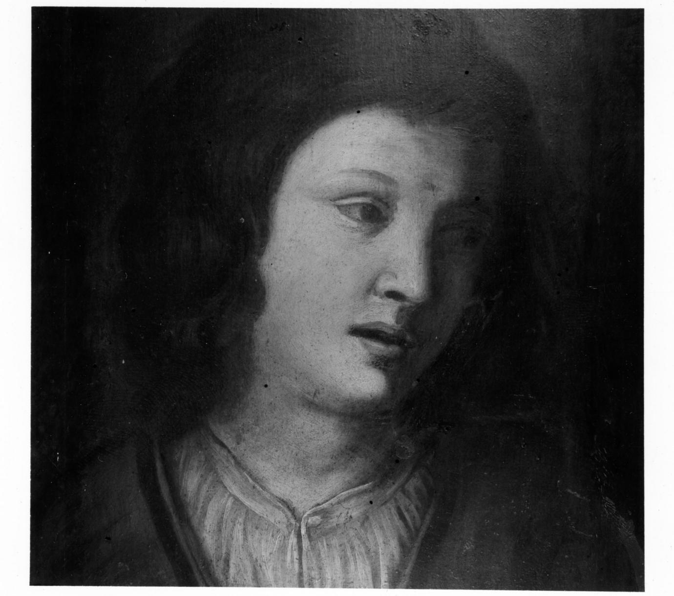 testa d'uomo (dipinto) - ambito emiliano (prima metà sec. XVII)