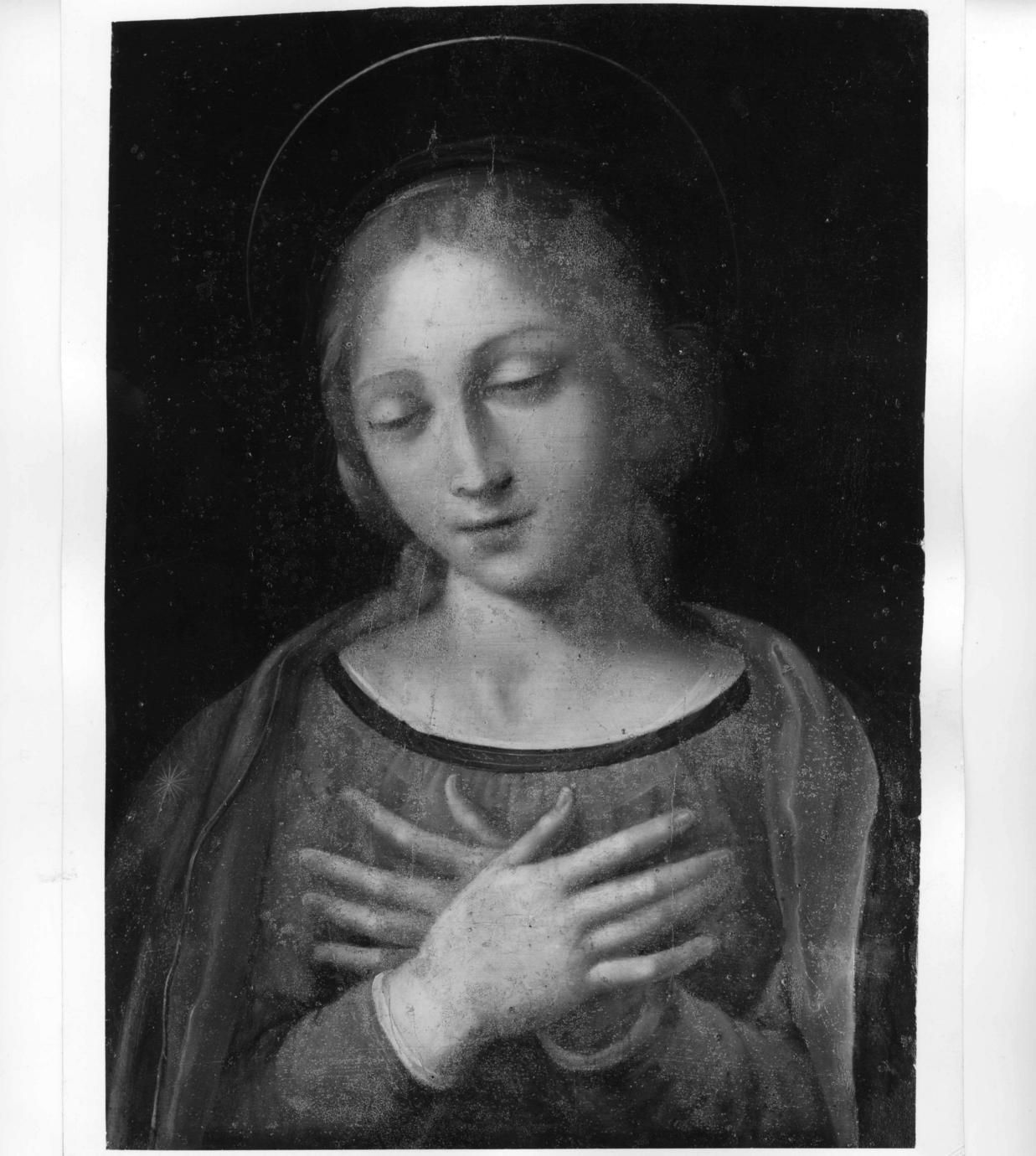 Madonna (dipinto) - ambito bolognese (prima metà sec. XVI)