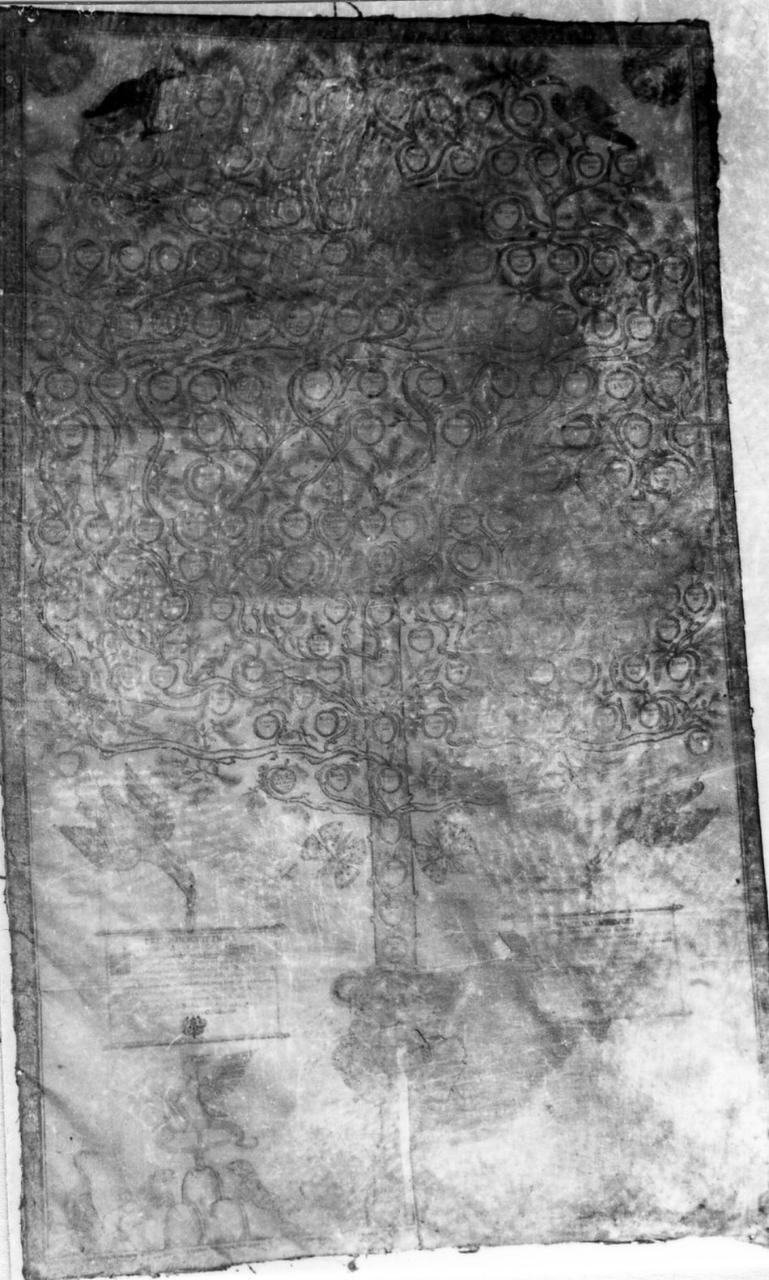 albero genealogico della Famiglia Pozzoli (disegno) - ambito carpigiano (fine sec. XVII)