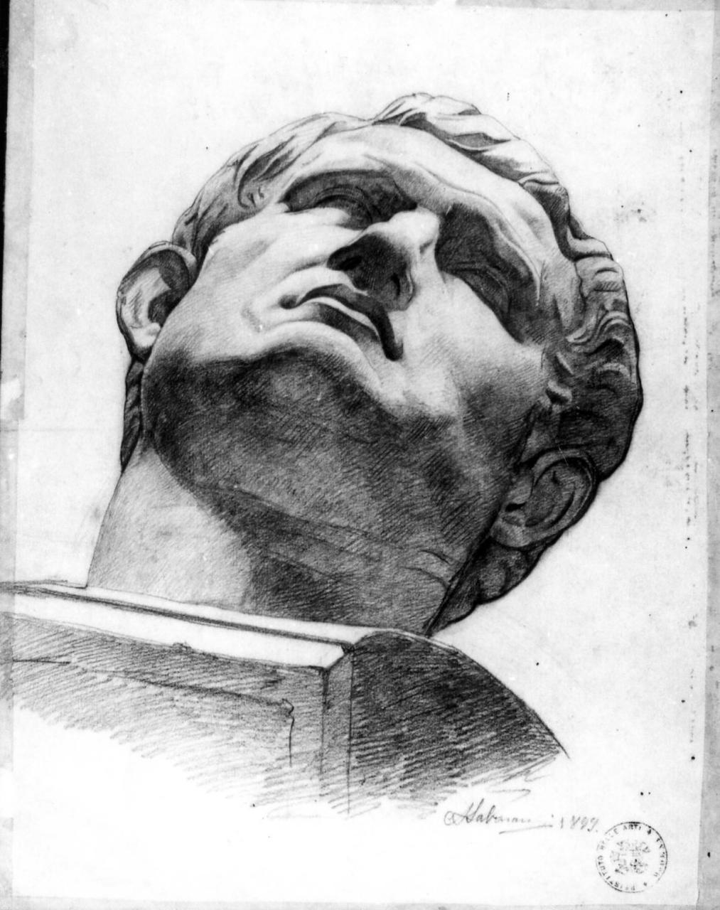 testa classica (disegno) di Salvarani Arcangelo (sec. XIX)