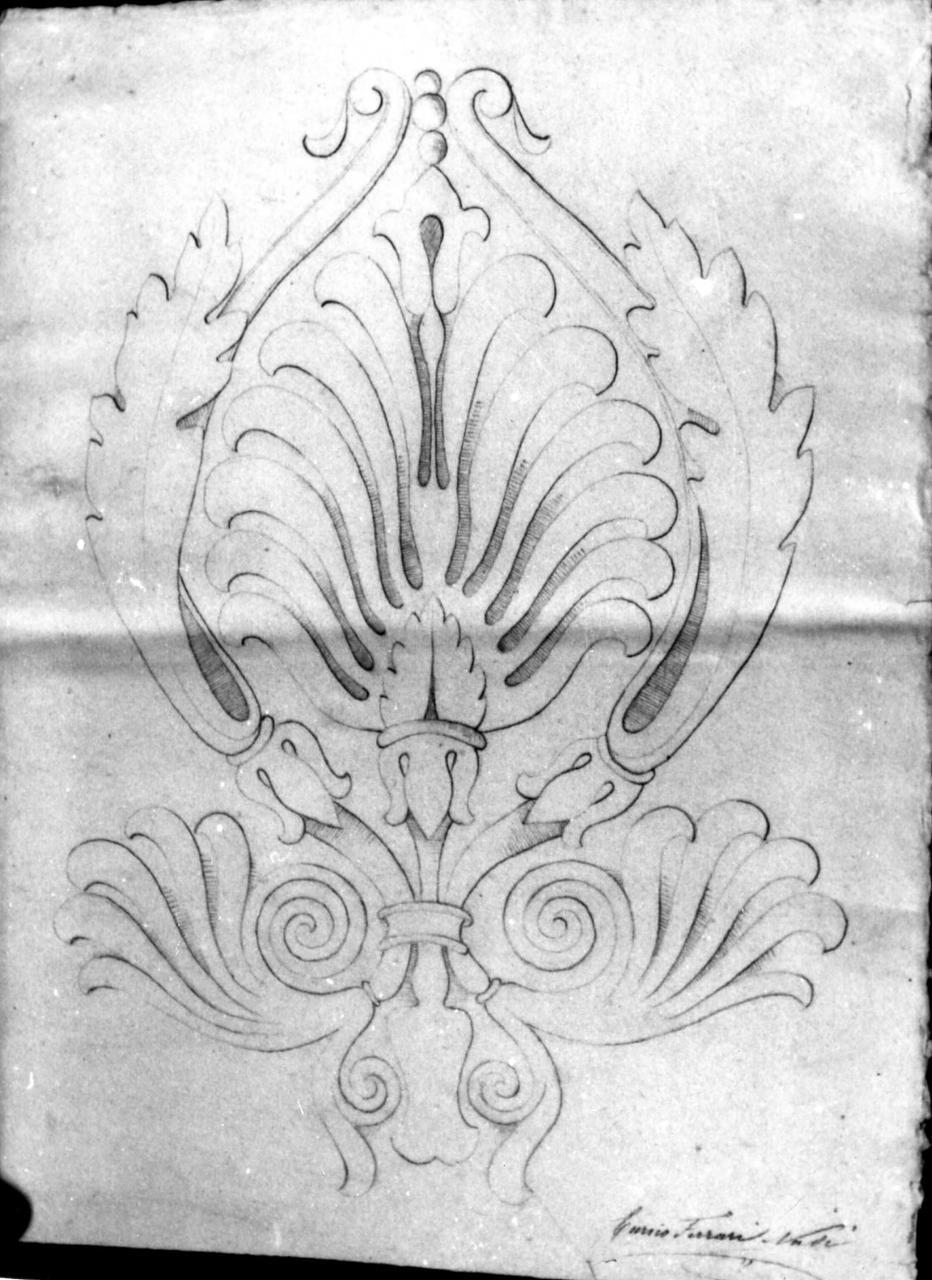 palmetta fogliata (disegno) di Ferrari Nasi Enrico (fine sec. XIX)