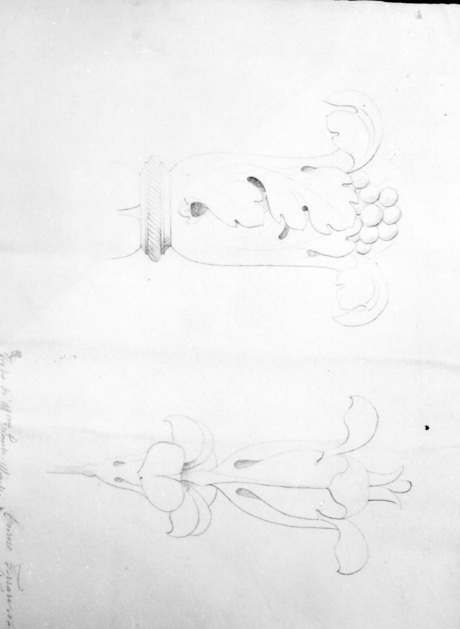 fiori stilizzati (disegno) di Ferrari Nasi Enrico (fine sec. XIX)