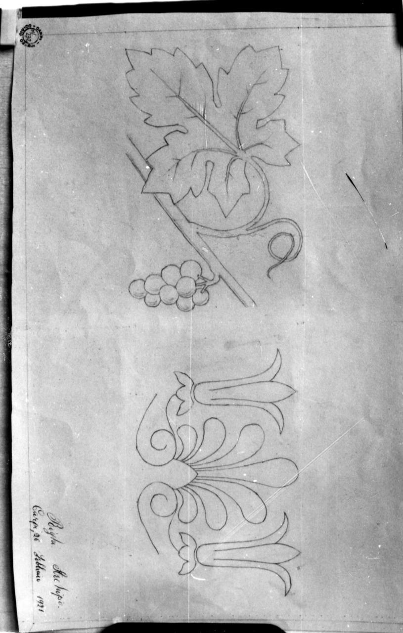 uva e palmette (disegno) di Righi Archipo (sec. XX)