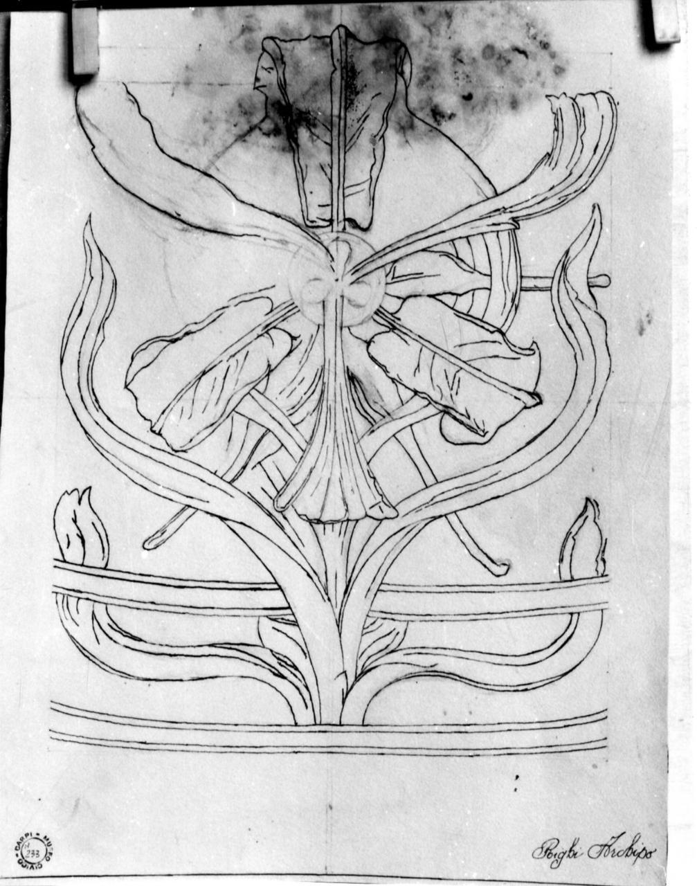fiore (disegno) di Righi Archipo (primo quarto sec. XX)