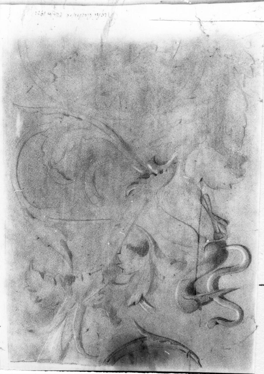 volute e racemi (disegno) di Righi Archipo (sec. XX)